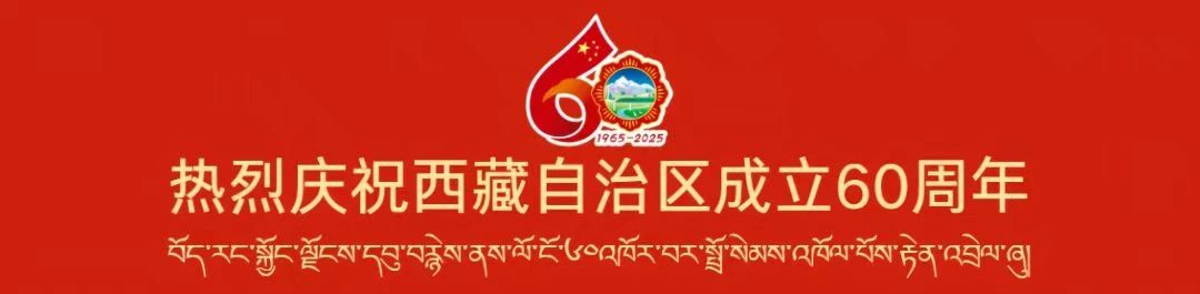 热烈庆祝全球网络赌博平台